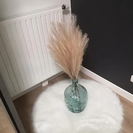 Grand T2 Avec Jardin Et Parking Proche Paris Et *